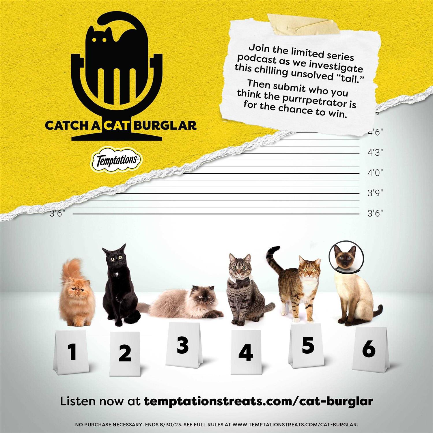 Treat Dispensing Cat Toy A759673