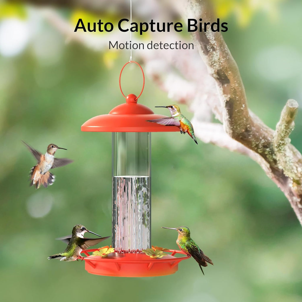 Smart Bird Feeder Camera with Solar Camera Lite F923748