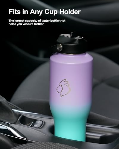 40 oz Insulated Double Wall Stainless Steel Tumbler with Handle Straw Lid and Flex Lid, Black U347733