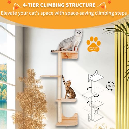 Cat Wall Shelves with 3 Steps V60958