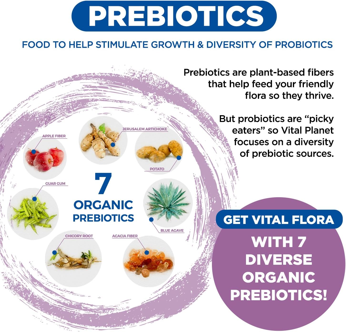 Women’s Daily Probiotic 60 Billion CFU, 60 Strains, 30 Capsules A47810