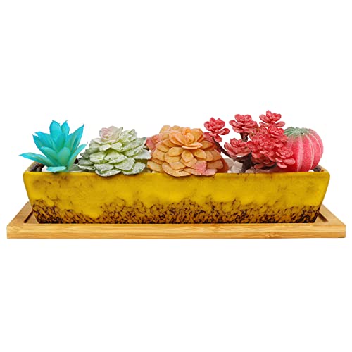 White Ceramic Succulent Pots with Drainage W721