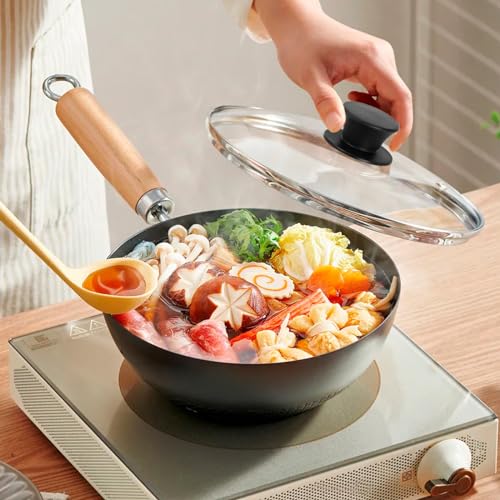 10 Inch Tempered Glass Pot Lid with Heat Resistant Handle T531179