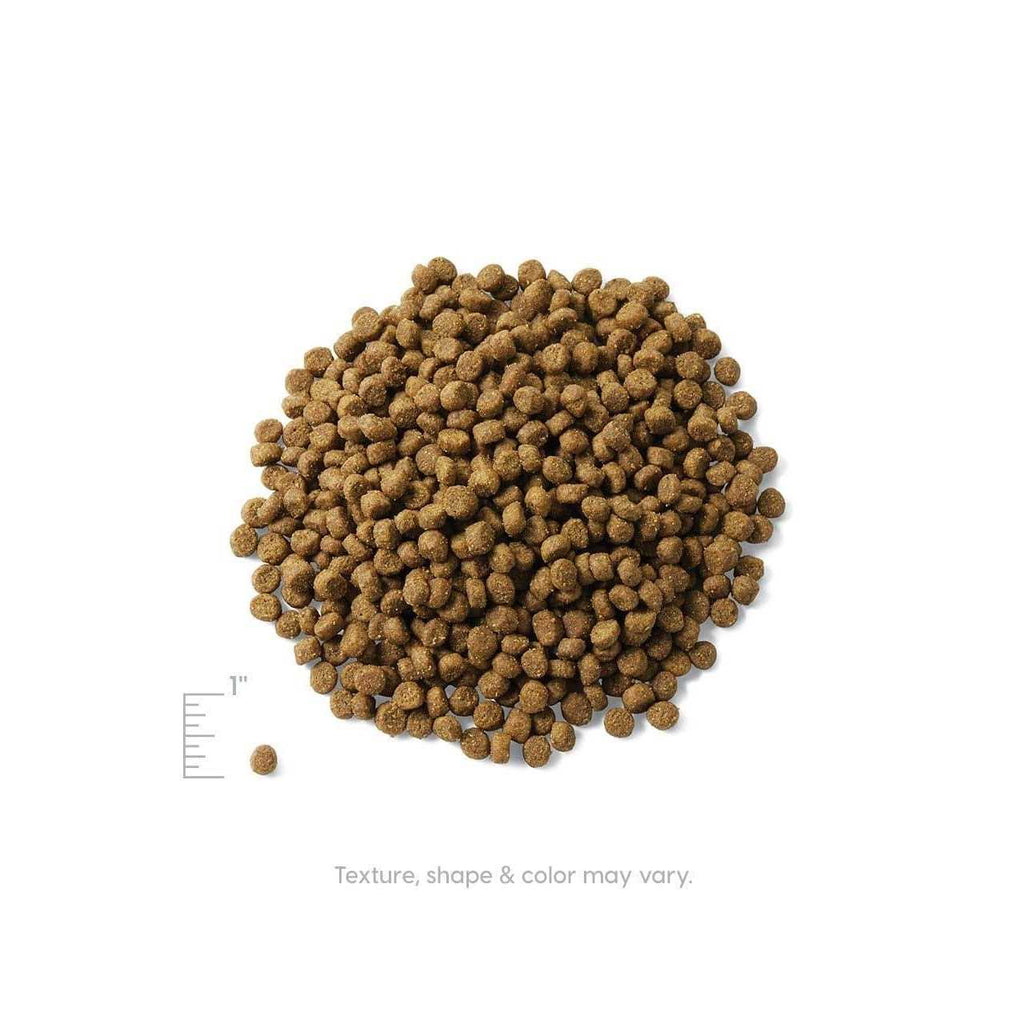 Grain-Free Dry Cat Food J888