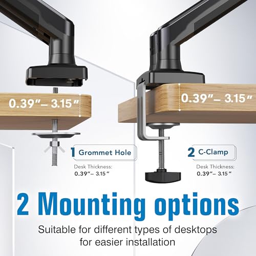 Dual Monitor Stand for 13 to 32 Inch Screen, Dual Monitor Arm Desk Mount Max 22 lbs Each Arm, VESA 75x75 100x100 W137234