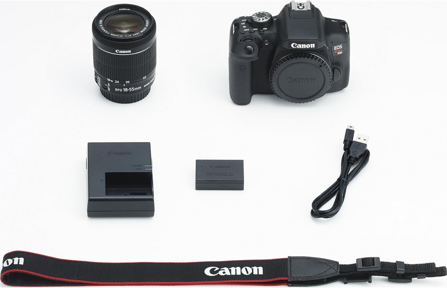Digital SLR with EF-S 18-55mm Lens T239