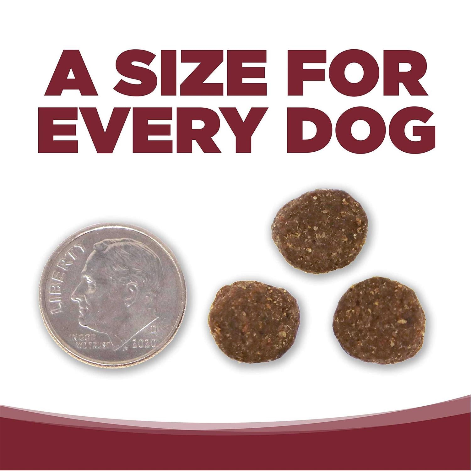 Beef Rice Dry Dog Food D453212