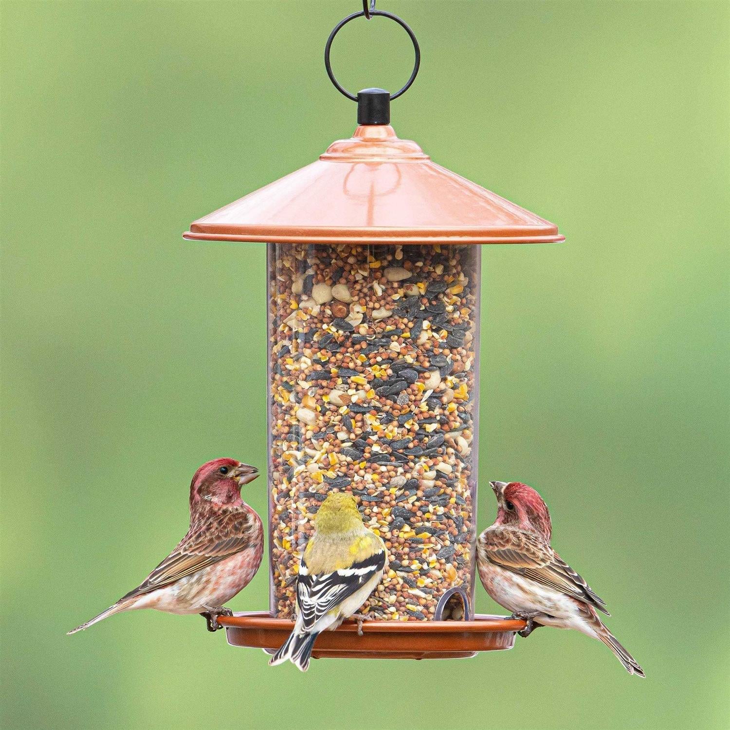 Peanut & Sunflower Wild Bird Feed Y3212