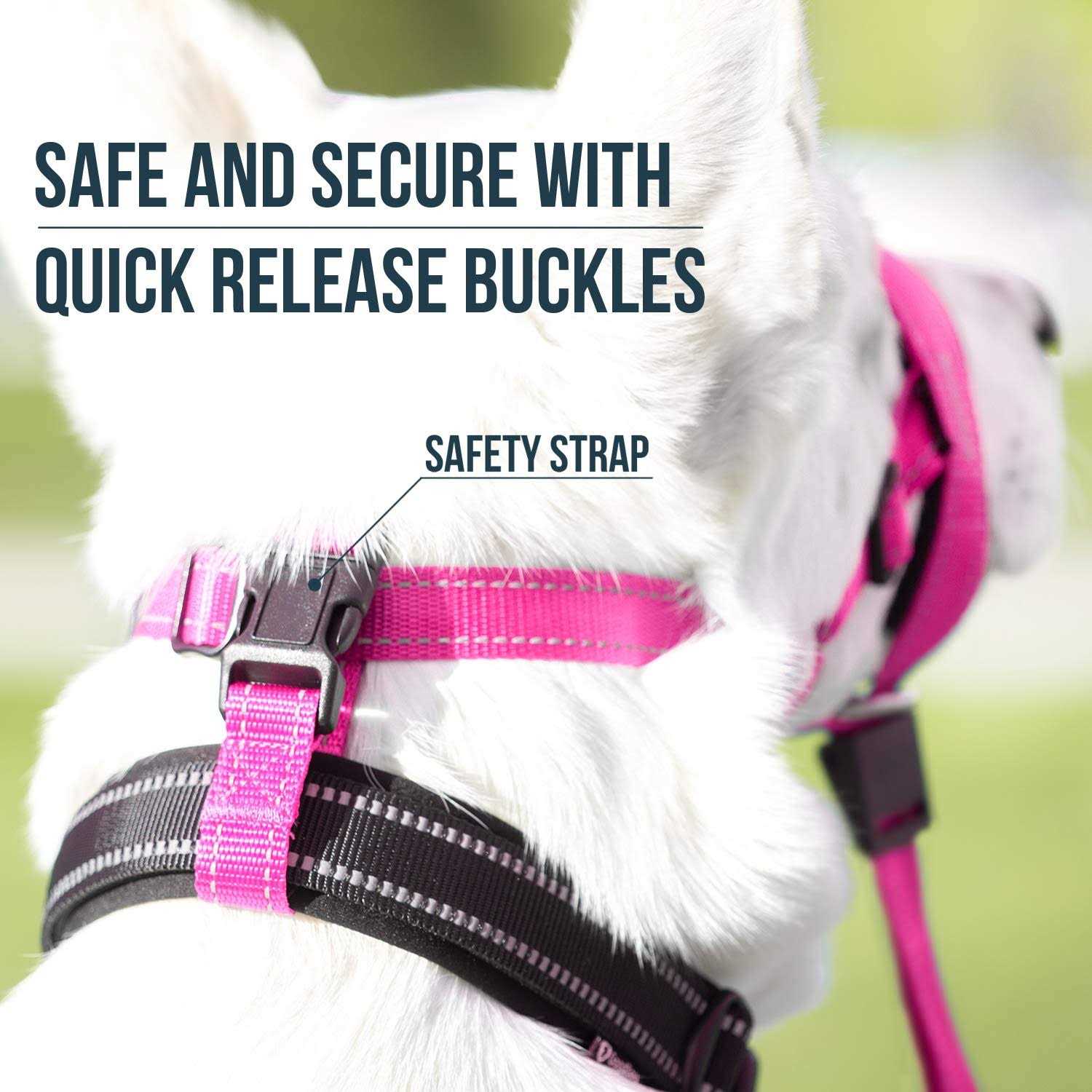 Dog Head Halter with Safety Strap U2534