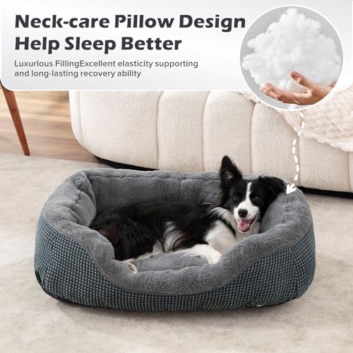 Small Dog Bed Washable Orthopedic Pet Bed with Anti-Slip Bottom S(20"x19"x6") S470702