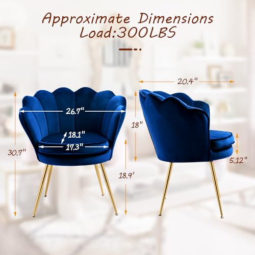 Grey Velvet Set of 2 Armchair P6216