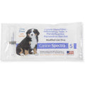 Canine Spectra 5 F43575