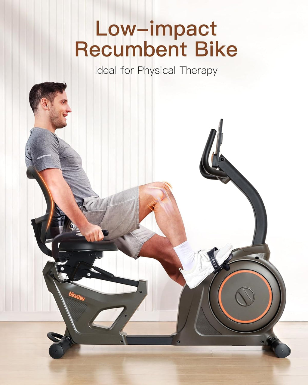 16 Resistance Levels Elliptical Machine and Recumbent Exercise Bike Z1341