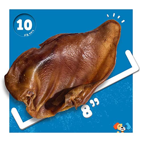 30 Pack Extra Thick Pig Ears Dog Treats G205031