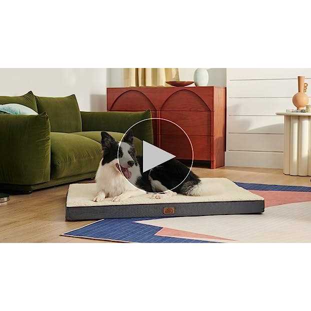 Orthopedic Waterproof Dog Bed with Removable Washable Cover Z124799