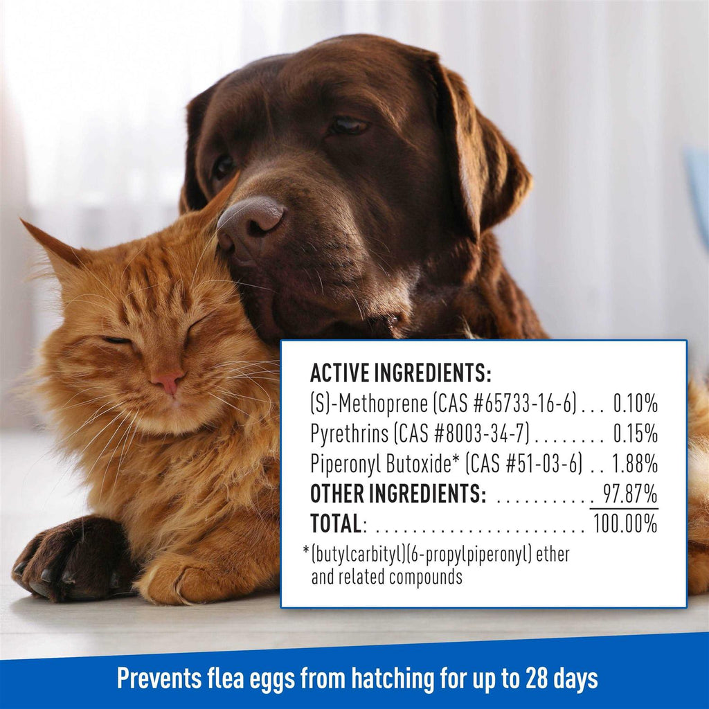 Flea Tick Shampoo R6842