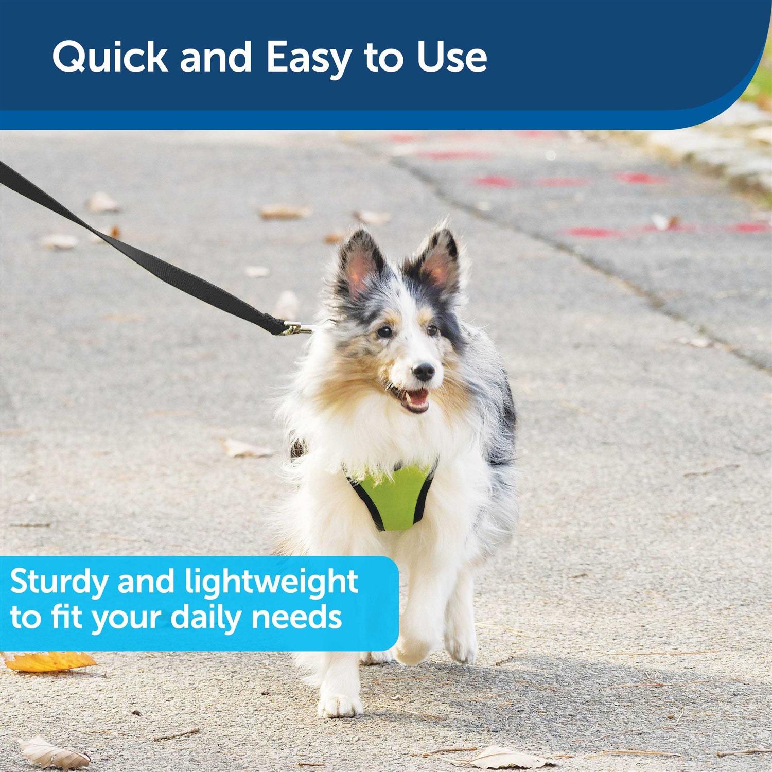 Nylon Dog Leash I368267