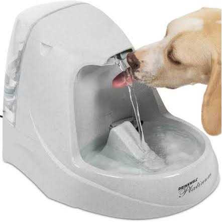 Platinum Pet Fountain B481