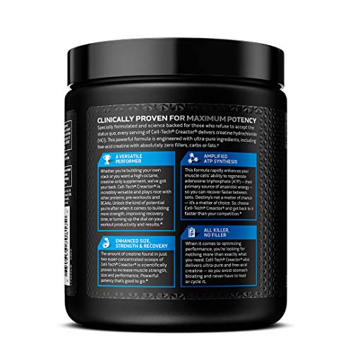 Unflavored Micronized Creatine Monohydrate Powder (80 Servings) Q316