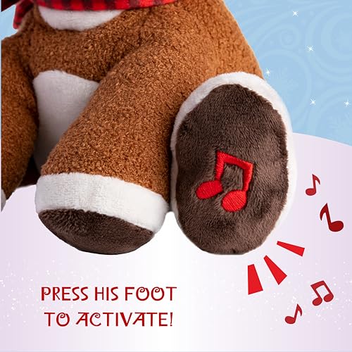 Stuffed Animal Plush Toy with Music & Lights R74967