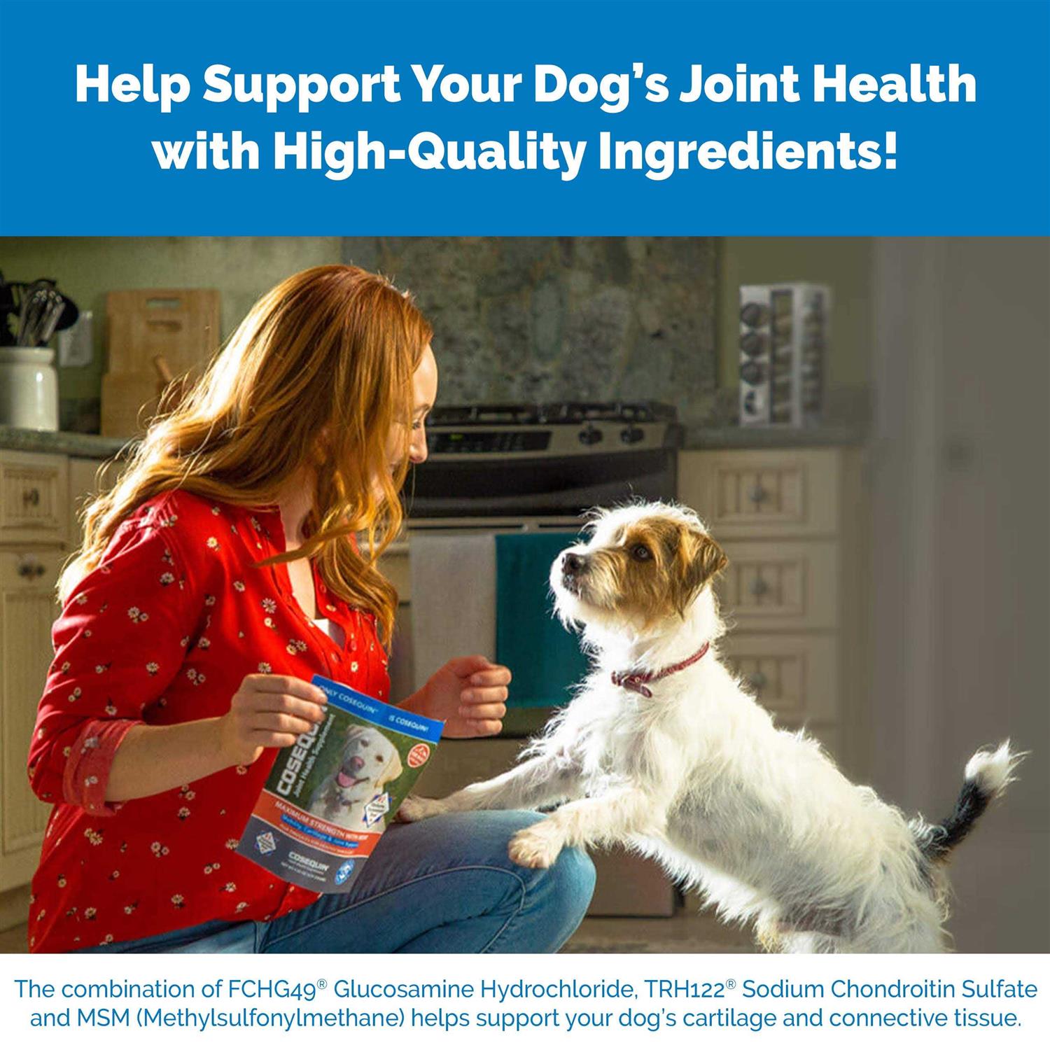 Cosequin Maximum Strength Plus MSM & HA for Dogs Q94806