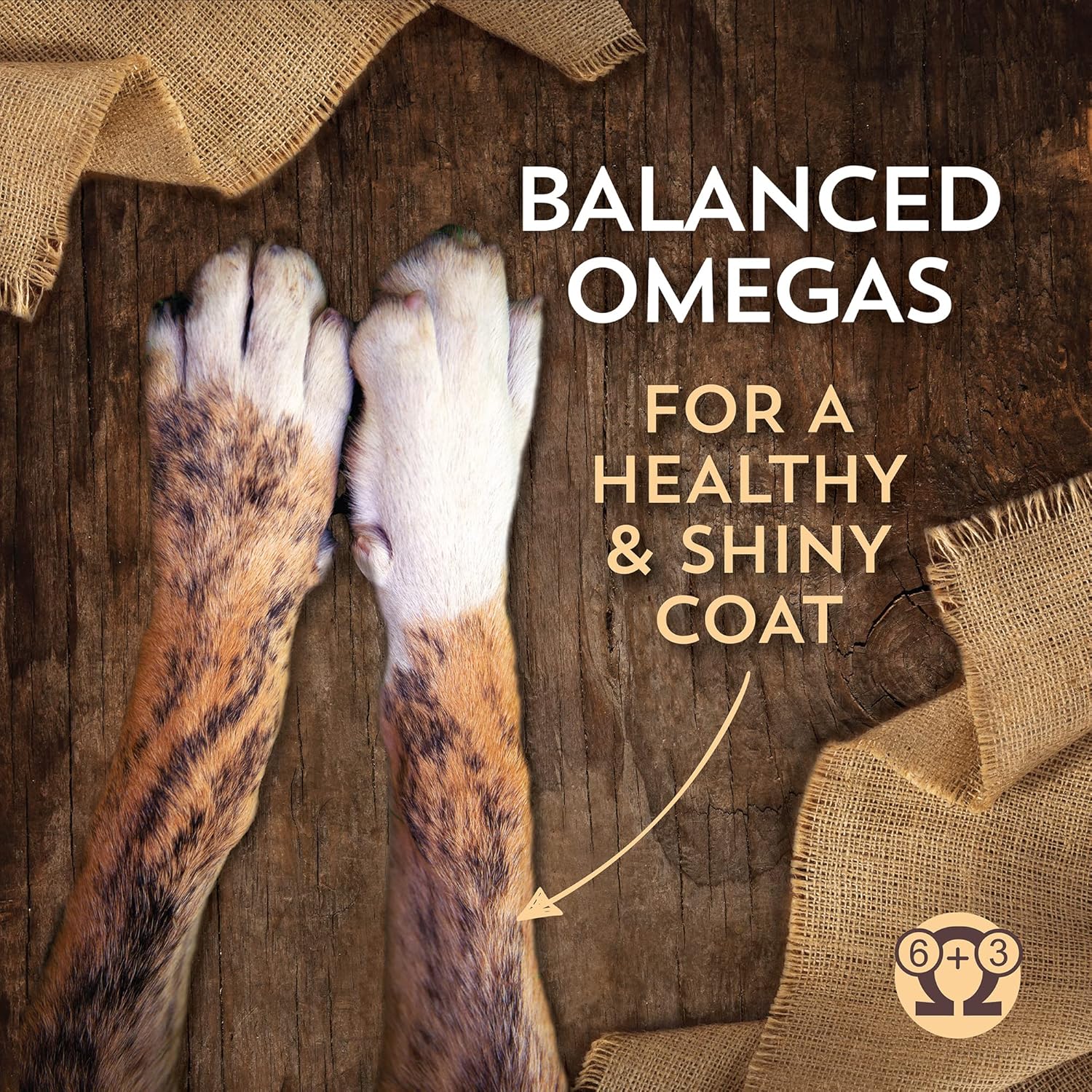 40 Lb. Dry Dog Food P307