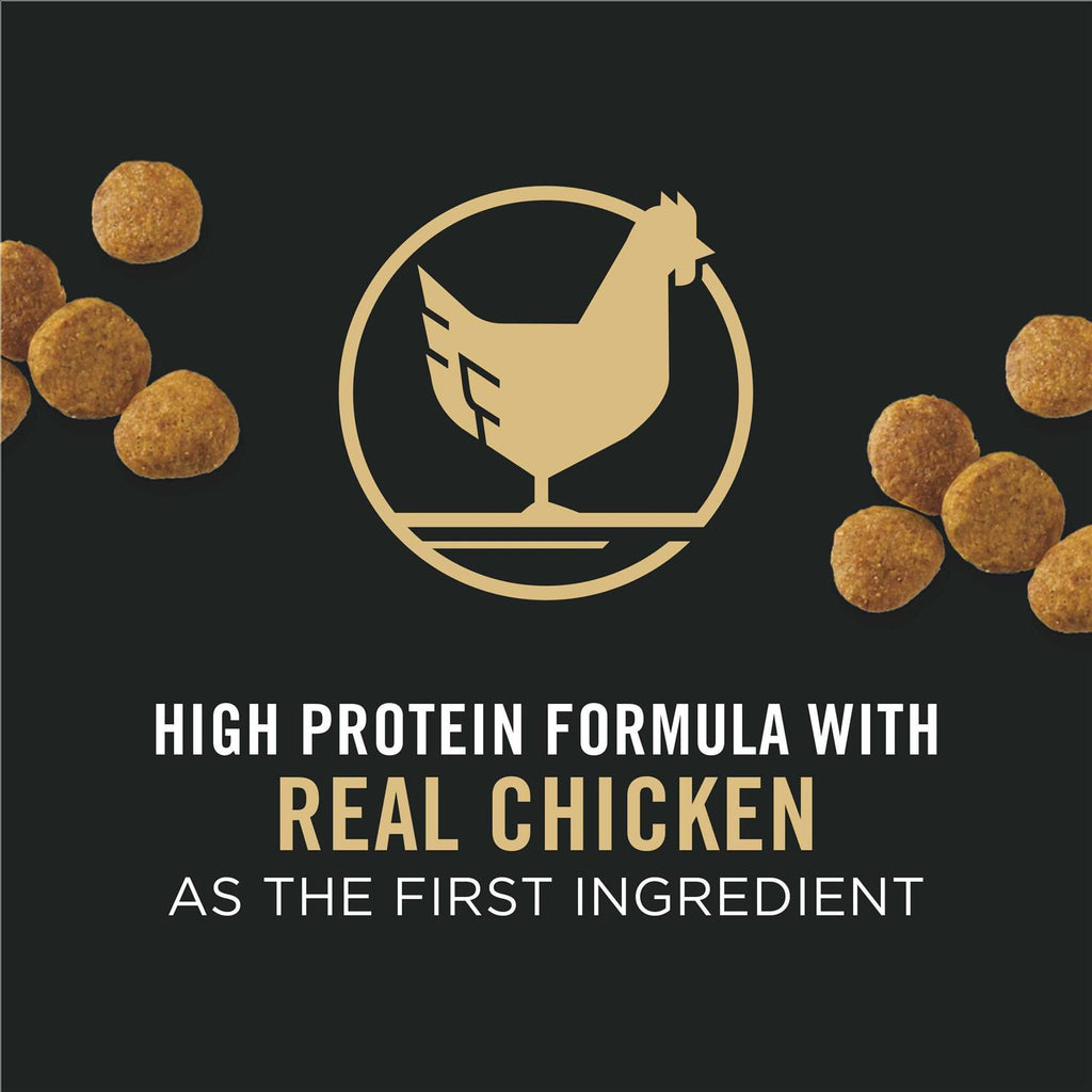 Chicken & Rice Formula Dry Puppy Food Y2058