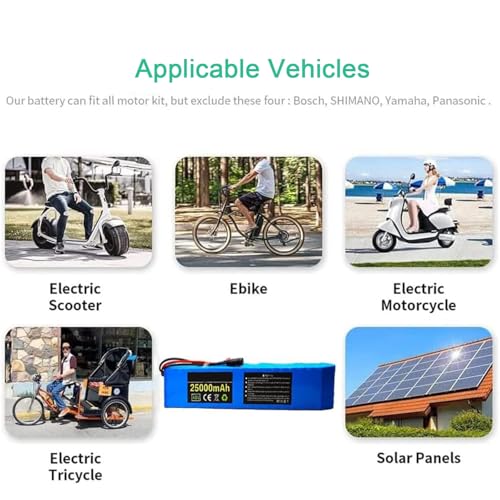 48V 25Ah Electric Bike Lithium-Ion Battery Pack with 54.6V 2A Charger U438