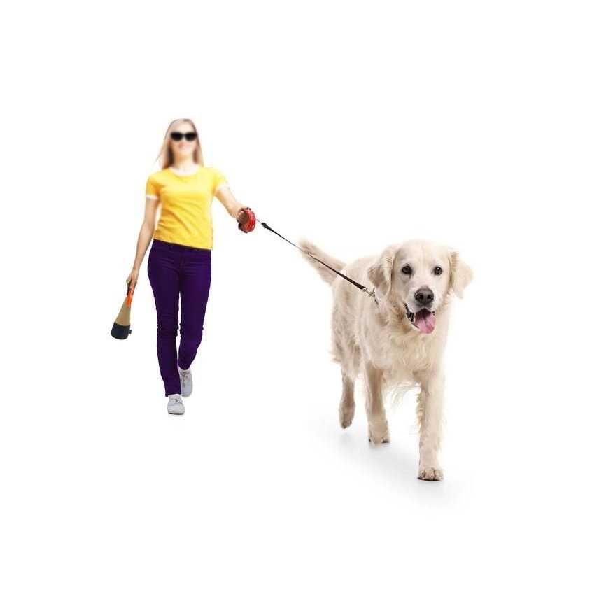 Portable Dog Pooper Scooper L406