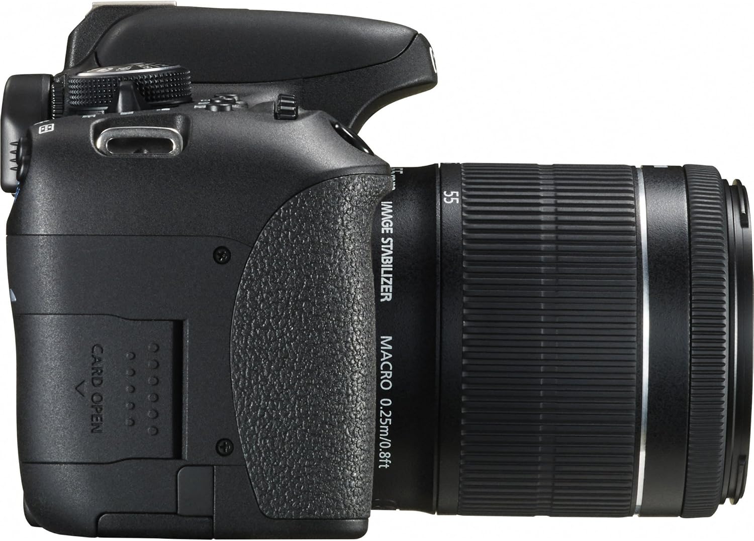Digital SLR with EF-S 18-55mm Lens T239