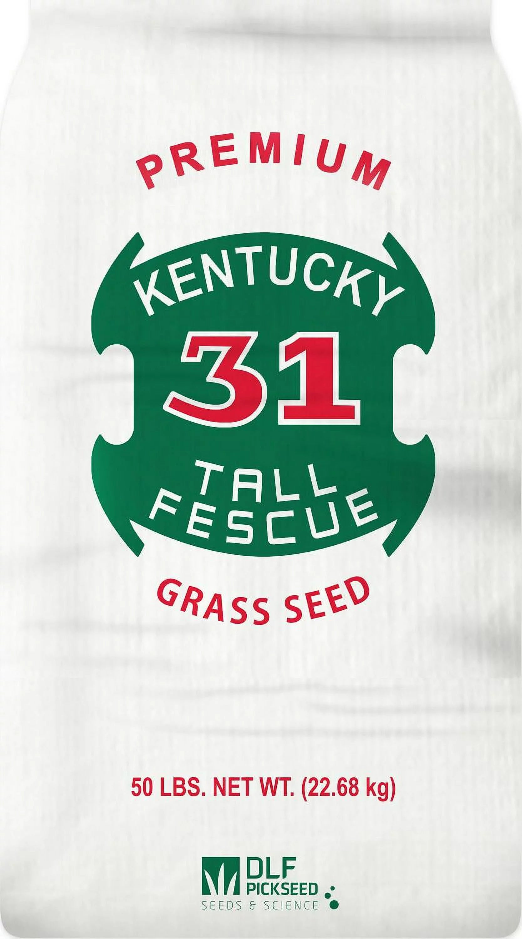 50 lb. Kentucky-31 Tall Fescue Grass Seed C875