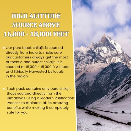 Pure Himalayan Shilajit 77% Fulvic Acid Hard Consistency 10 Grams E44319