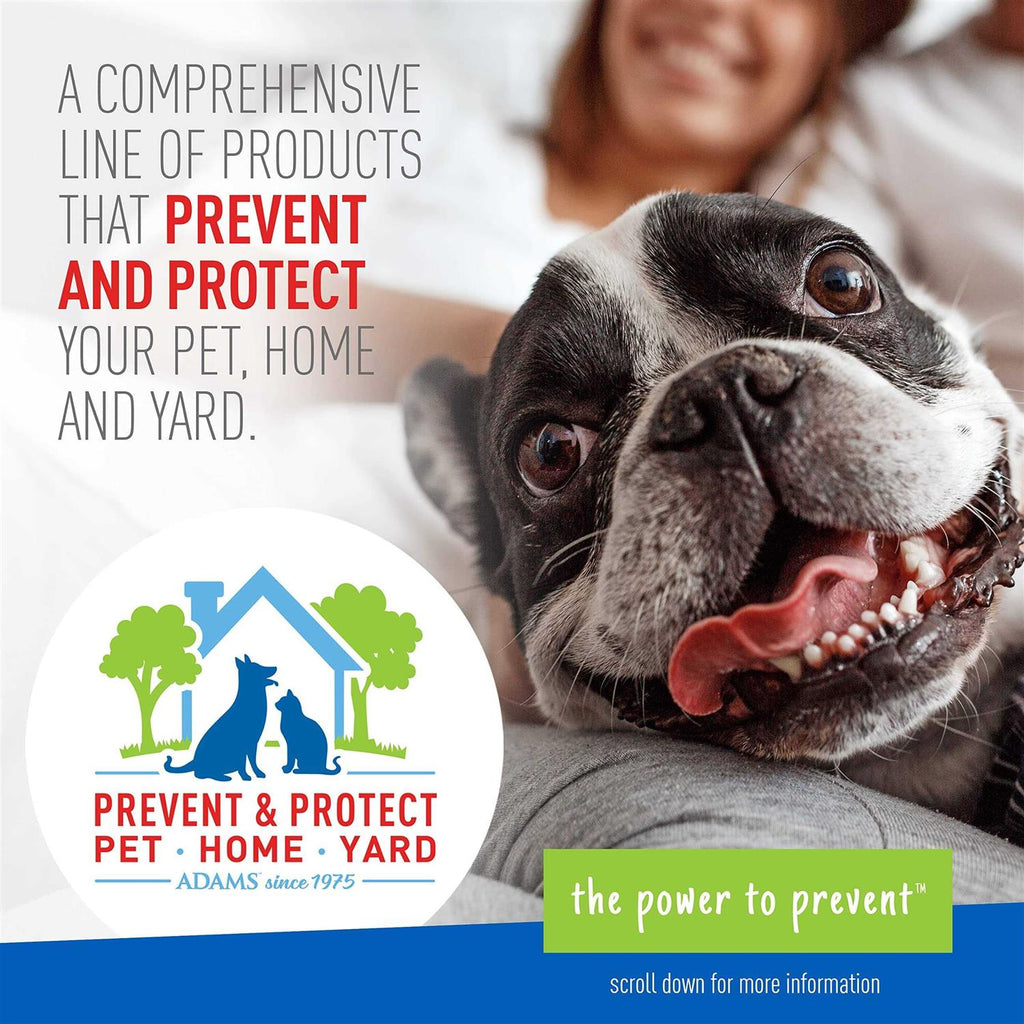 Flea Tick Shampoo R6842