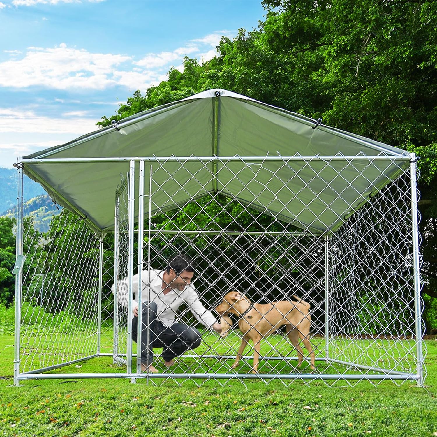 Heavy Duty Outdoor Dog Kennel with Waterproof Roof S6157