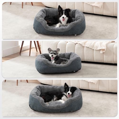 Small Dog Bed Washable Orthopedic Pet Bed with Anti-Slip Bottom S(20"x19"x6") S470702