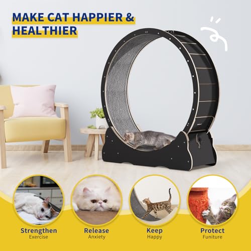 Solid Wood Cat Exercise Wheel with 2 Anti-Scratch Pads V2752