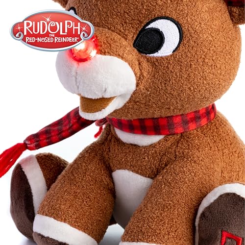 Stuffed Animal Plush Toy with Music & Lights R74967