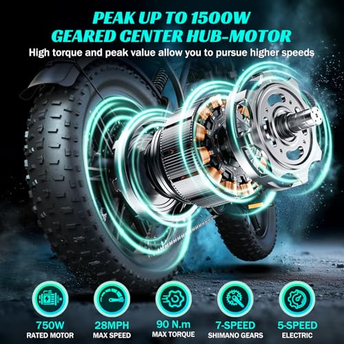 20" Fat Tire All-Terrain Electric Bike 1500W Peak 48V 15/25AH S282600