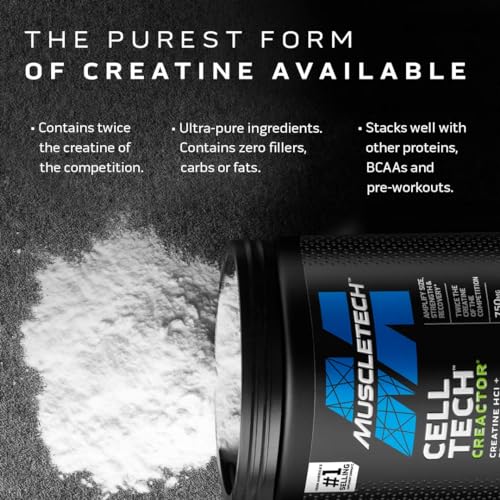 Unflavored Micronized Creatine Monohydrate Powder (80 Servings) Q316