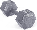 25 lb Cast Iron Hex Dumbbell N542502