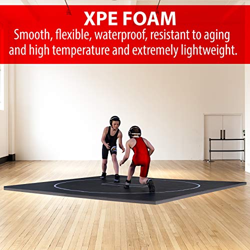 10' x 10' Wrestling Mat C3196