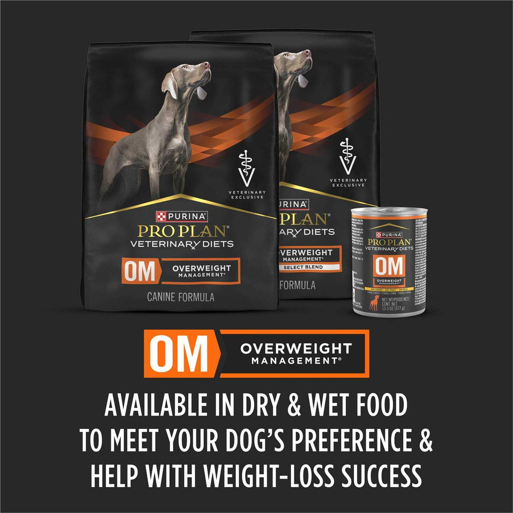 Canned Dog Food R509869