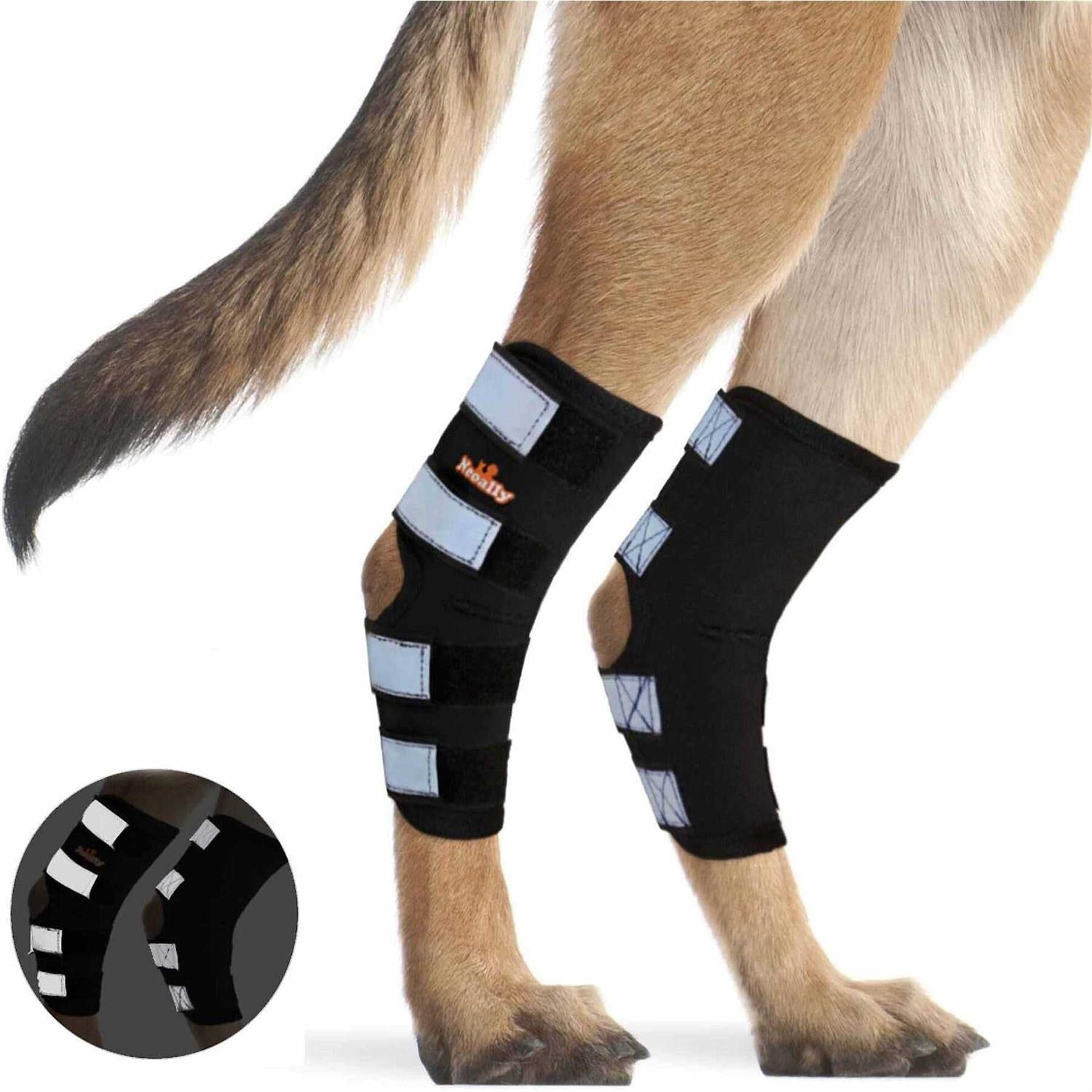 Dog Hind Leg Brace with Safety Reflective Straps F7835