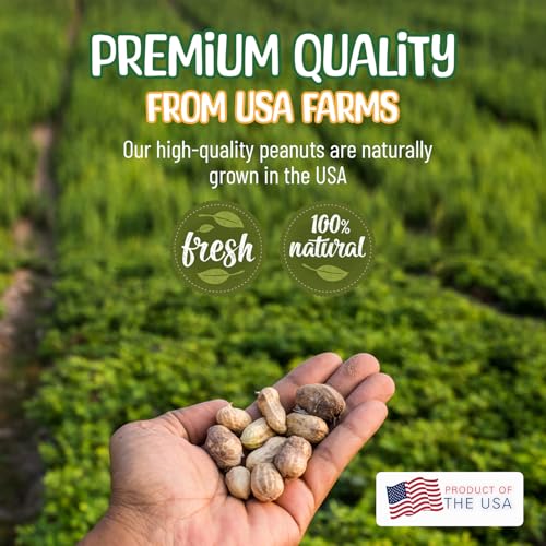 25 Pound Raw Peanuts in Shell B703
