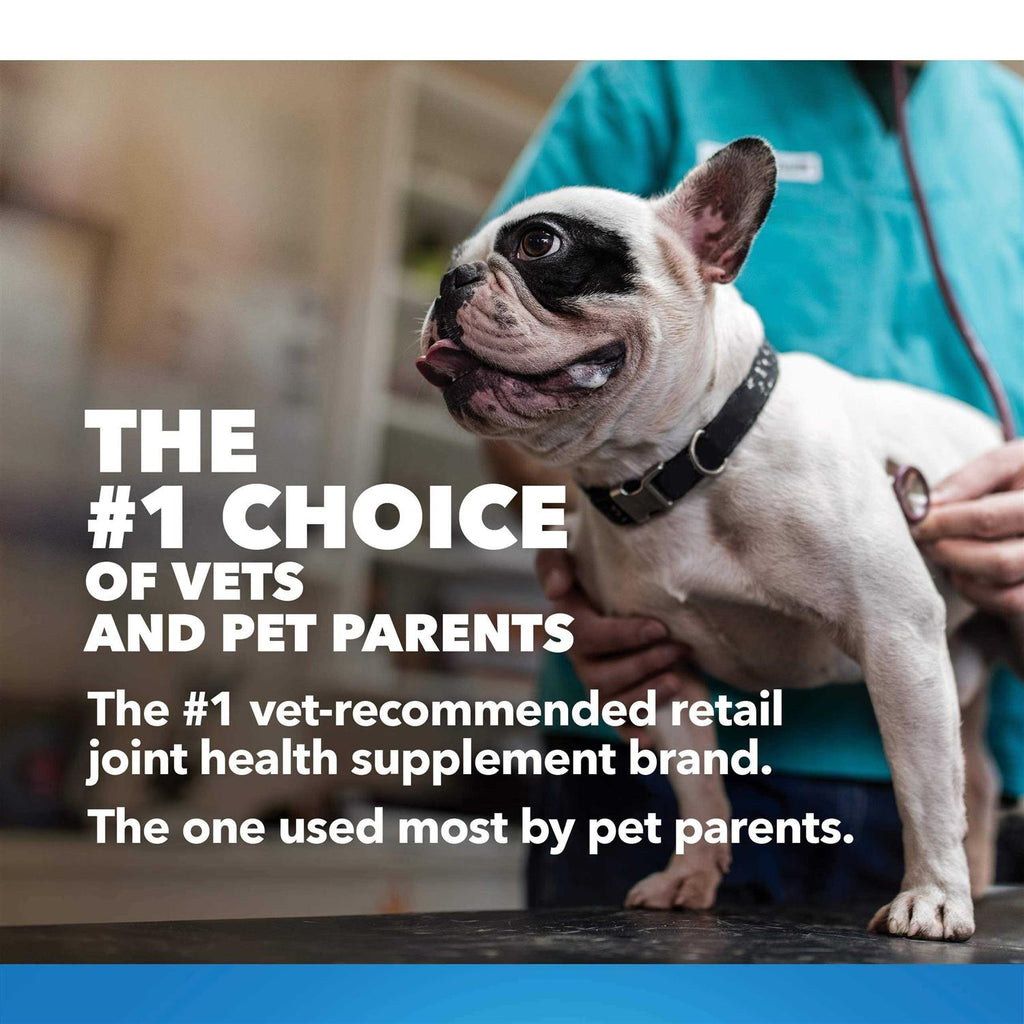 Cosequin Maximum Strength Plus MSM & HA for Dogs Q94806