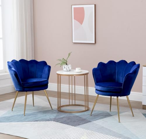 Grey Velvet Set of 2 Armchair P6216
