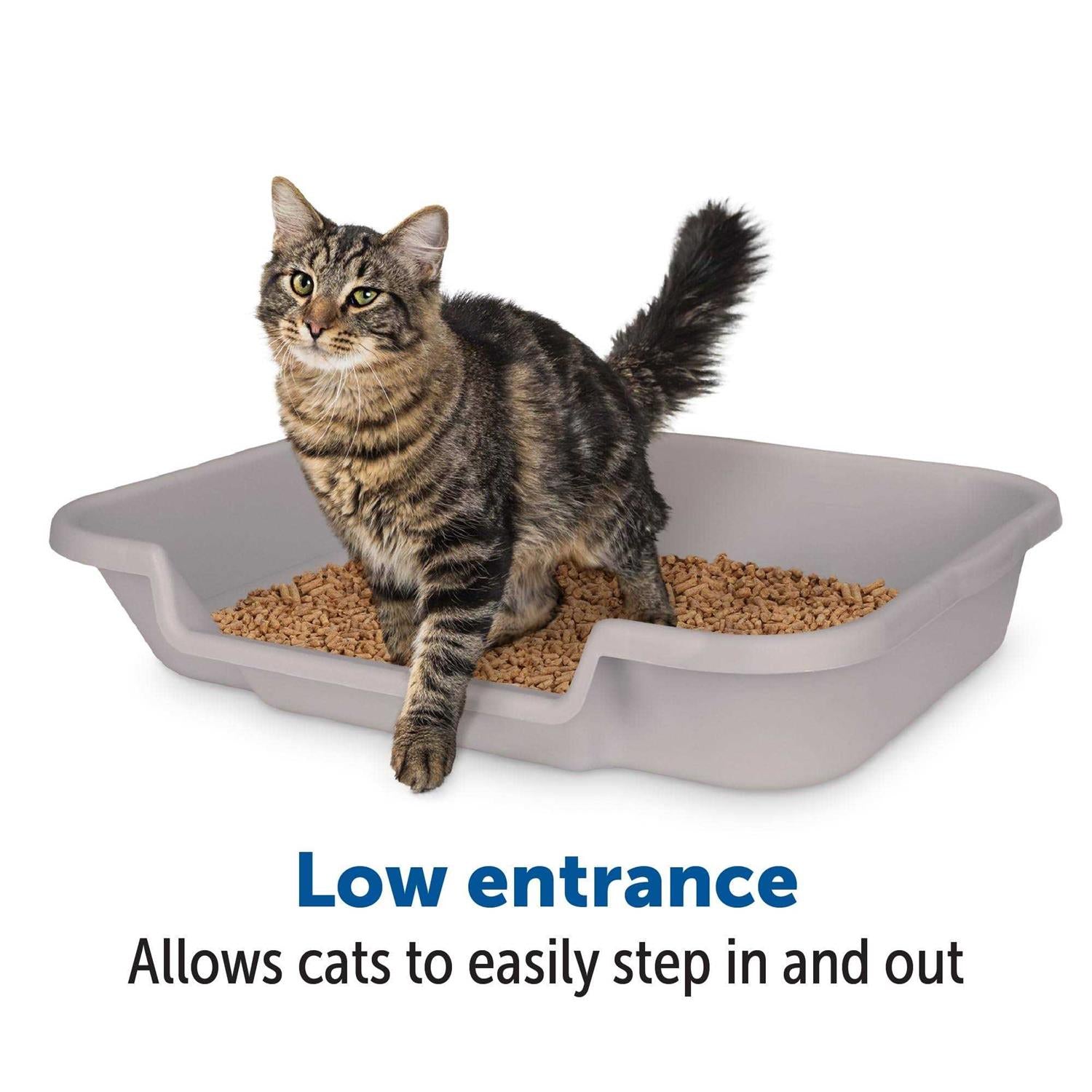 Large Misty Gray Litter Box X2014