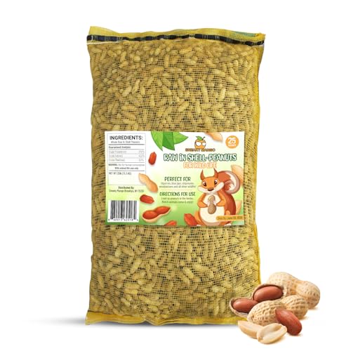 25 Pound Raw Peanuts in Shell B703
