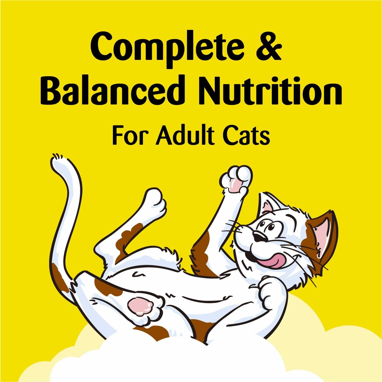 Treat Dispensing Cat Toy A759673