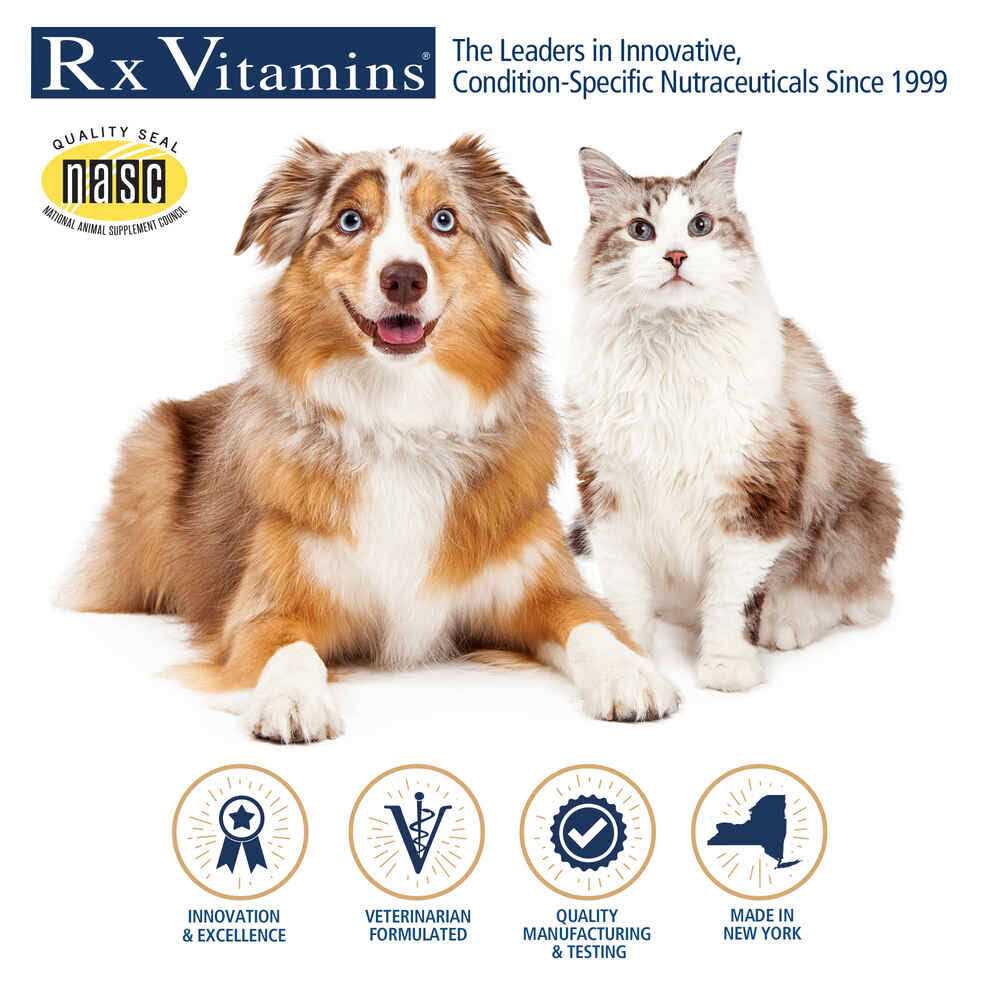 Rx Essentials for Dogs S589626